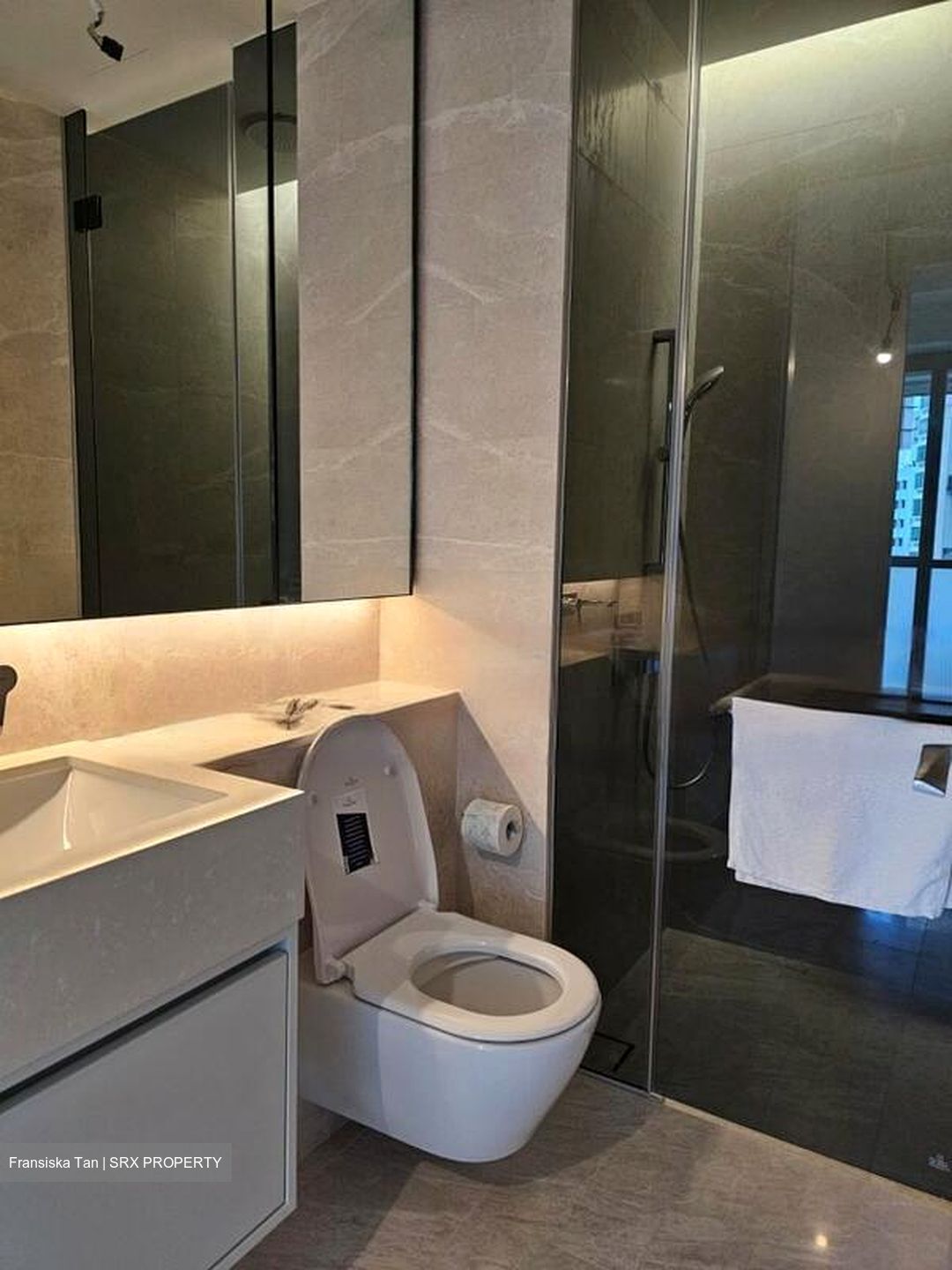 Amber Park (D15), Condominium #554363381
